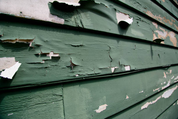 Reliable Etowah, NC Junk Removal Solutions