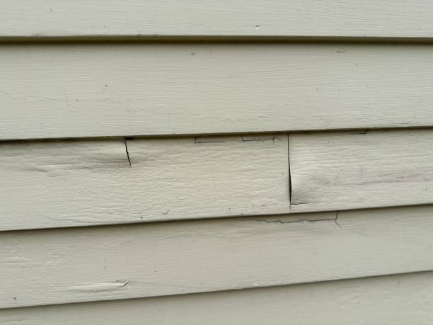 Shed Removal in Etowah, NC